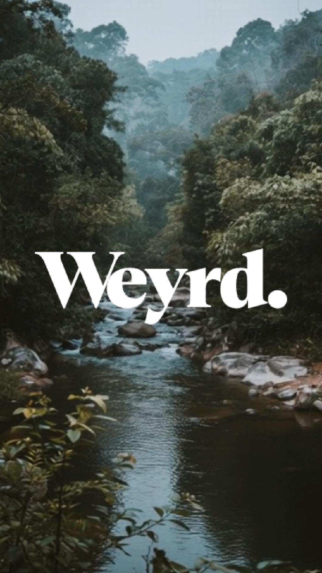 Es wird surreal und wild.